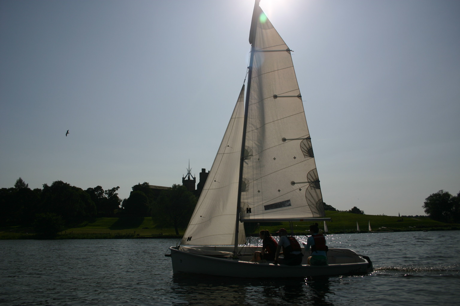 Sailing Boat